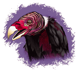 Gif animé vautour dessin